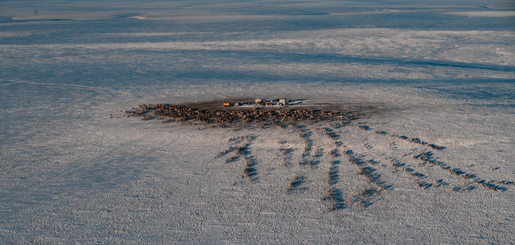 Фото Вместе в цифровое будущее: стартует юбилейный конкурс «Ростелекома» для региональных ИТ-журналистов и блогеров 2